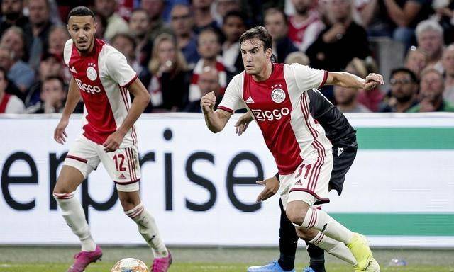 为后续抓鸟 为后续抓鸟